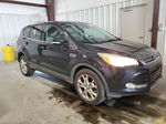 2013 Ford Escape Sel Black vin: 1FMCU9HX0DUC21311