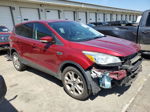 2013 Ford Escape Sel Red vin: 1FMCU9HX0DUD35809