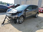 2013 Ford Escape Sel Gray vin: 1FMCU9HX1DUD51520