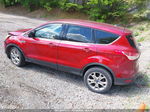 2013 Ford Escape Sel Красный vin: 1FMCU9HX2DUC68789