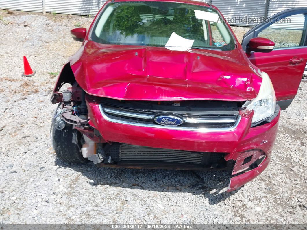 2013 Ford Escape Sel Red vin: 1FMCU9HX2DUC68789