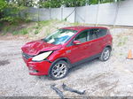 2013 Ford Escape Sel Red vin: 1FMCU9HX2DUC68789