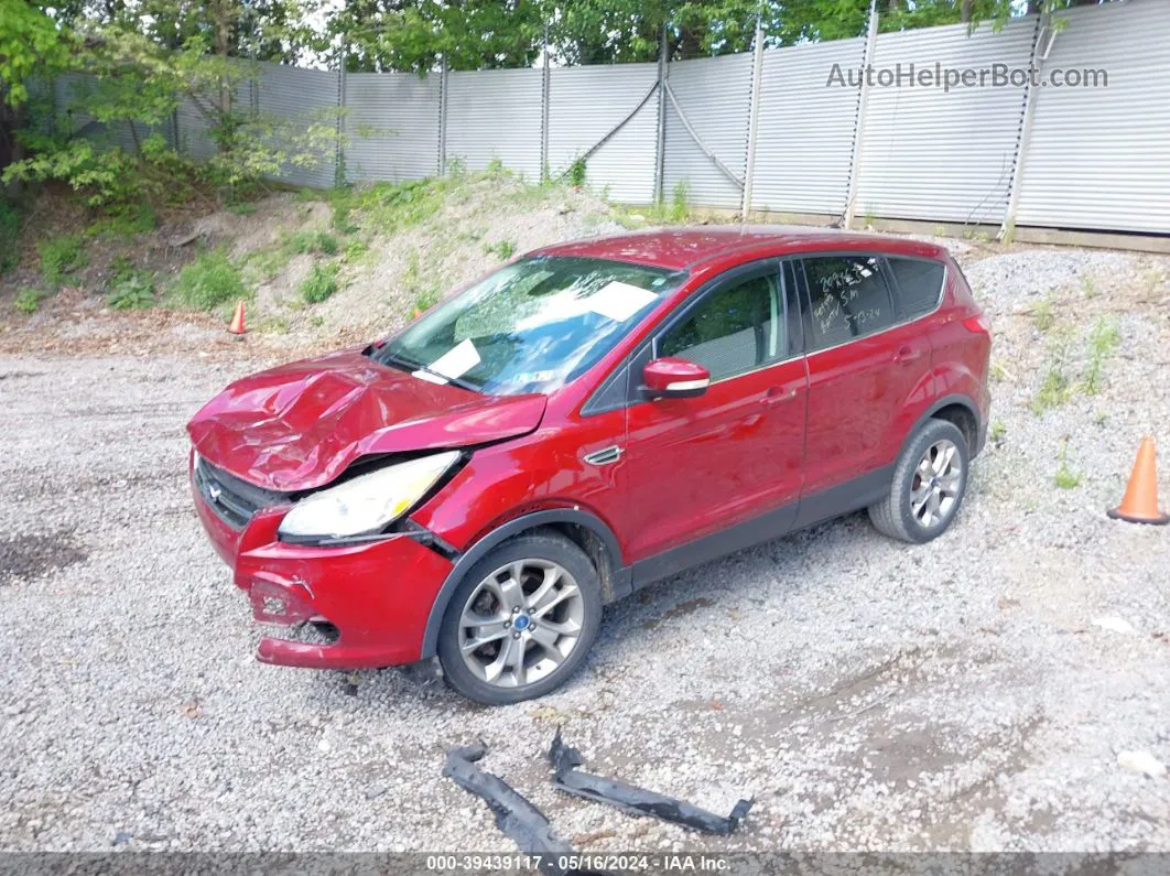 2013 Ford Escape Sel Красный vin: 1FMCU9HX2DUC68789