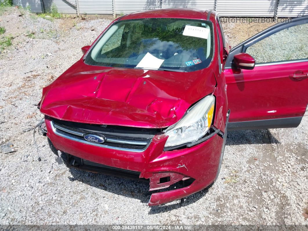 2013 Ford Escape Sel Red vin: 1FMCU9HX2DUC68789