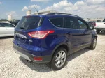 2013 Ford Escape Sel Blue vin: 1FMCU9HX3DUB39525