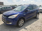 2013 Ford Escape Sel Синий vin: 1FMCU9HX3DUB39525