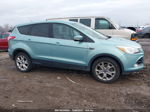 2013 Ford Escape Sel Light Blue vin: 1FMCU9HX4DUC29668