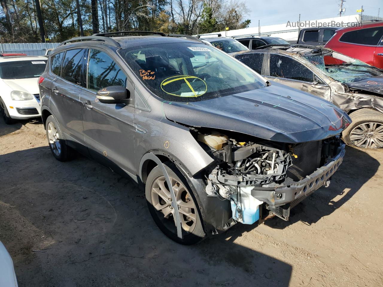 2013 Ford Escape Sel Gray vin: 1FMCU9HX6DUB76147