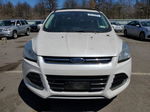 2013 Ford Escape Sel Белый vin: 1FMCU9HX6DUB76231