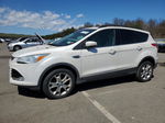 2013 Ford Escape Sel White vin: 1FMCU9HX6DUB76231