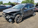 2013 Ford Escape Sel Gray vin: 1FMCU9HX7DUC06885