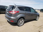 2013 Ford Escape Sel Gray vin: 1FMCU9HX9DUD54147