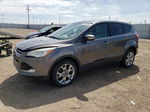 2013 Ford Escape Sel Gray vin: 1FMCU9HX9DUD54147