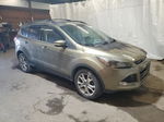 2013 Ford Escape Sel Green vin: 1FMCU9HXXDUA32858