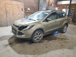 2013 Ford Escape Sel Green vin: 1FMCU9HXXDUA32858