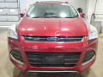 2013 Ford Escape Sel Красный vin: 1FMCU9HXXDUB15271