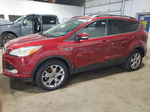 2013 Ford Escape Sel Красный vin: 1FMCU9HXXDUB15271