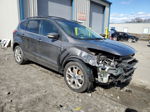 2013 Ford Escape Sel Gray vin: 1FMCU9HXXDUC30226