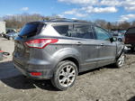 2013 Ford Escape Sel Gray vin: 1FMCU9HXXDUC30226