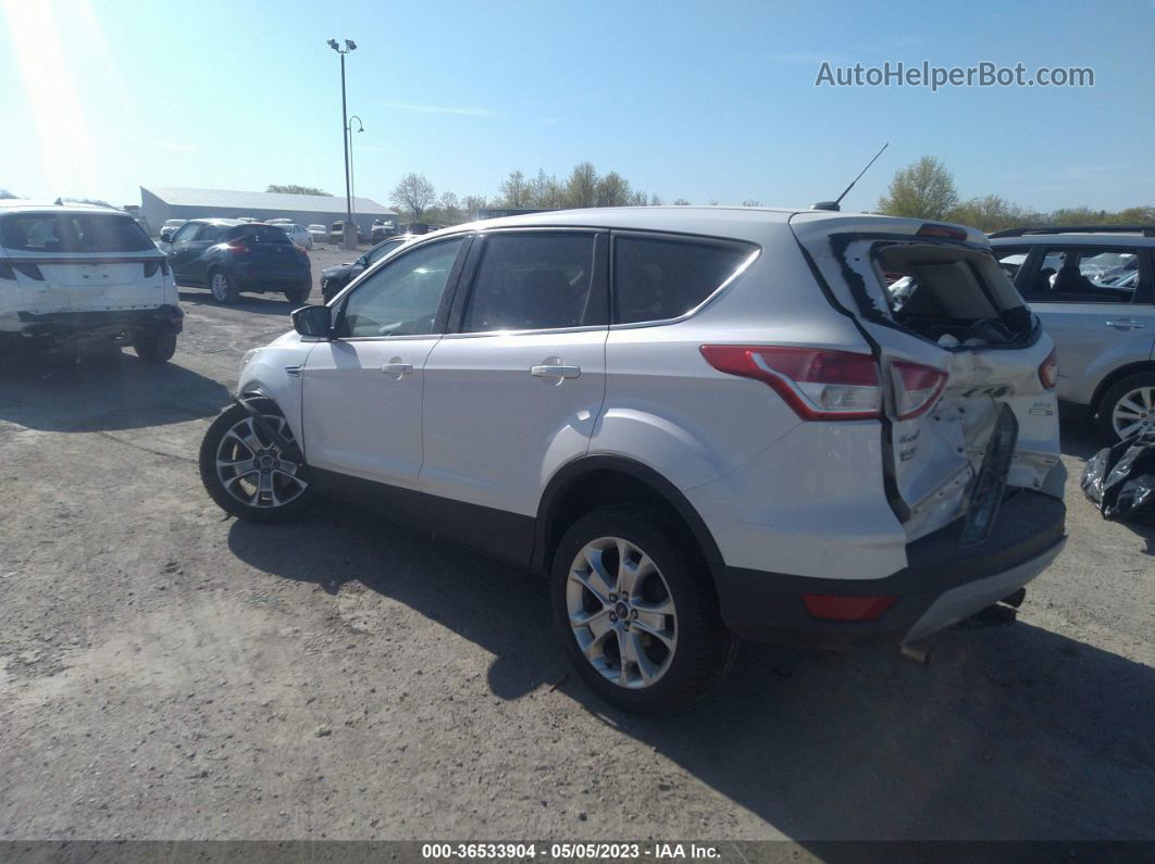 2013 Ford Escape Sel White vin: 1FMCU9HXXDUC92239