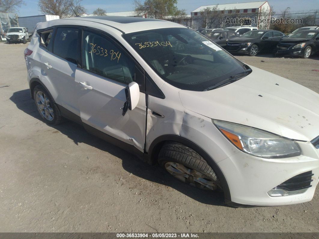 2013 Ford Escape Sel White vin: 1FMCU9HXXDUC92239