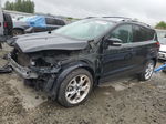 2013 Ford Escape Titanium Black vin: 1FMCU9J90DUB24007