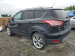 2013 Ford Escape Titanium Black vin: 1FMCU9J90DUB24007