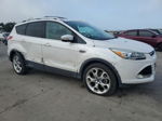 2013 Ford Escape Titanium White vin: 1FMCU9J90DUC24947