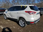 2014 Ford Escape Titanium White vin: 1FMCU9J90EUC59621