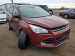 2014 Ford Escape Titanium Красный vin: 1FMCU9J90EUD95120