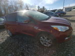 2016 Ford Escape Titanium Red vin: 1FMCU9J90GUA14448