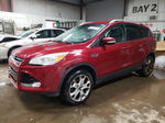 2016 Ford Escape Titanium Red vin: 1FMCU9J90GUB42639