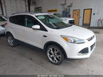 2014 Ford Escape Titanium Белый vin: 1FMCU9J91EUA44121