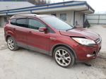 2014 Ford Escape Titanium Бордовый vin: 1FMCU9J91EUB96058