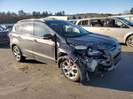 2016 Ford Escape Titanium Gray vin: 1FMCU9J91GUA88333