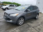 2014 Ford Escape Titanium Gray vin: 1FMCU9J92EUB10921