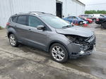 2014 Ford Escape Titanium Gray vin: 1FMCU9J92EUB10921