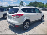 2014 Ford Escape Titanium White vin: 1FMCU9J92EUB40887