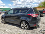 2014 Ford Escape Titanium Black vin: 1FMCU9J92EUC13806