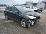 2014 Ford Escape Titanium Black vin: 1FMCU9J92EUD52852