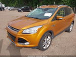 2016 Ford Escape Titanium Orange vin: 1FMCU9J92GUC08687