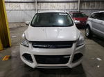 2016 Ford Escape Titanium White vin: 1FMCU9J92GUC30608