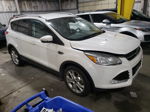 2016 Ford Escape Titanium White vin: 1FMCU9J92GUC30608