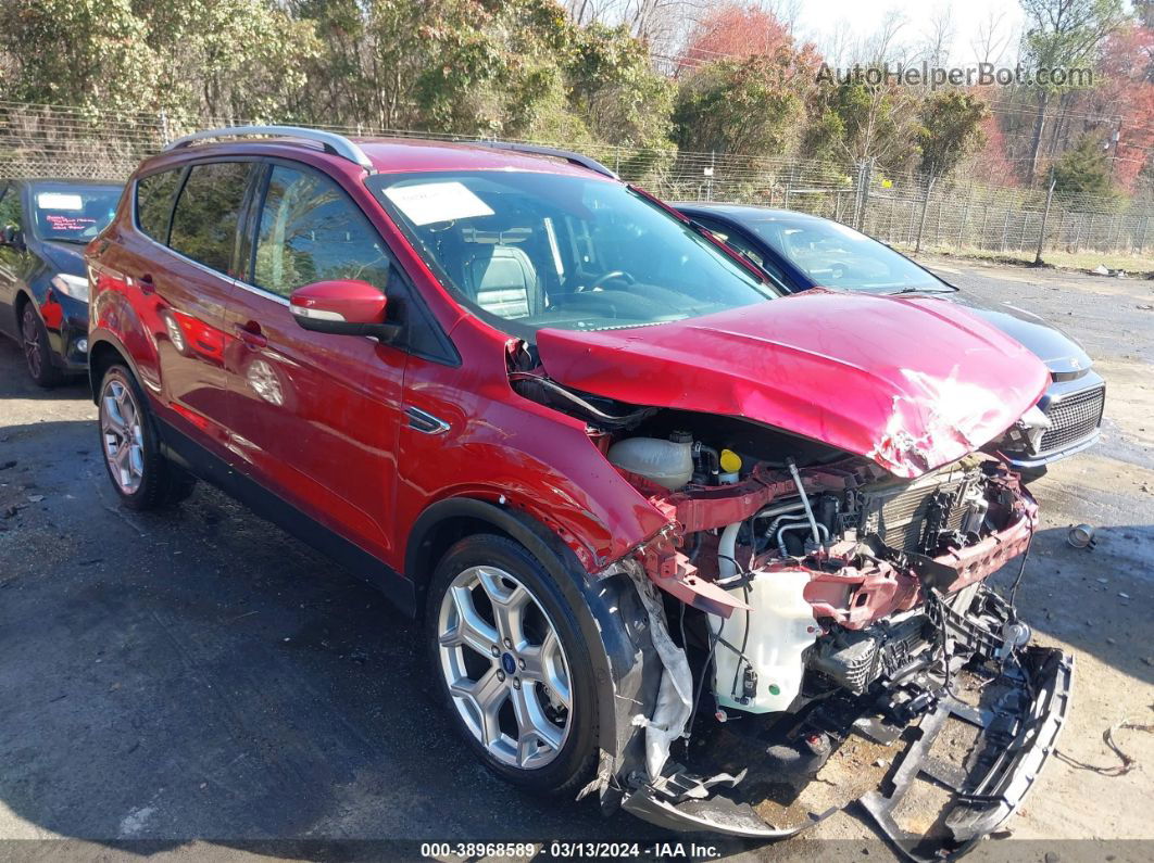 2019 Ford Escape Titanium Красный vin: 1FMCU9J92KUB83105