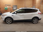 2013 Ford Escape Titanium White vin: 1FMCU9J93DUD91254