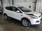 2014 Ford Escape Titanium White vin: 1FMCU9J93EUB44267