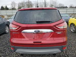 2014 Ford Escape Titanium Красный vin: 1FMCU9J93EUE54001