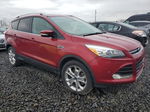 2014 Ford Escape Titanium Красный vin: 1FMCU9J93EUE54001