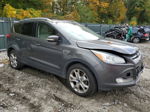 2015 Ford Escape Titanium Gray vin: 1FMCU9J93FUC14643