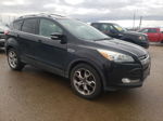 2016 Ford Escape Titanium Black vin: 1FMCU9J93GUC43058